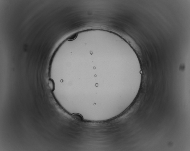 X0000101150904200807181331