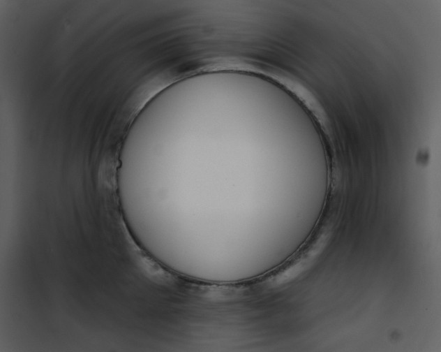 X0000101150905200807181331