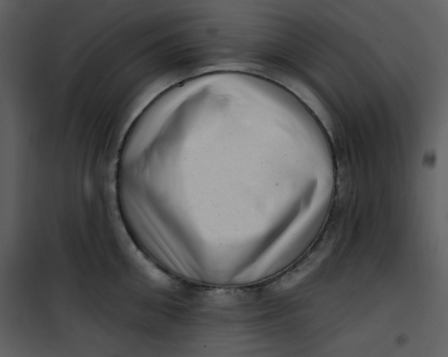 X0000101150906200807181331