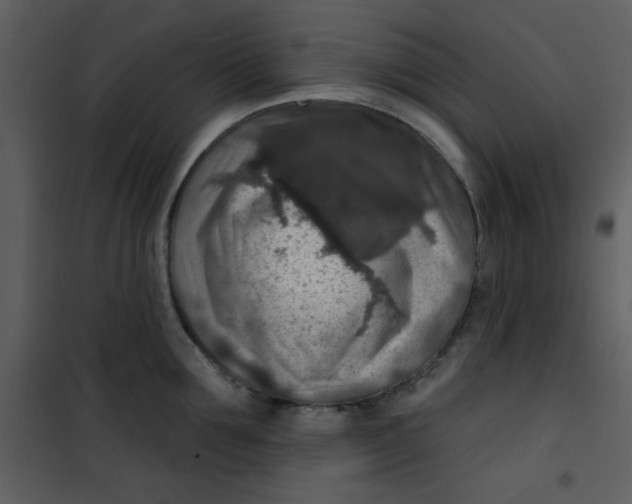 X0000101150907200807181331