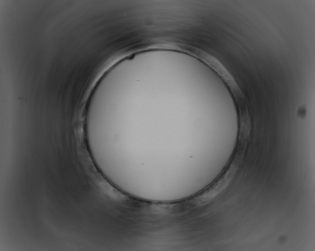 X0000101150908200807181331