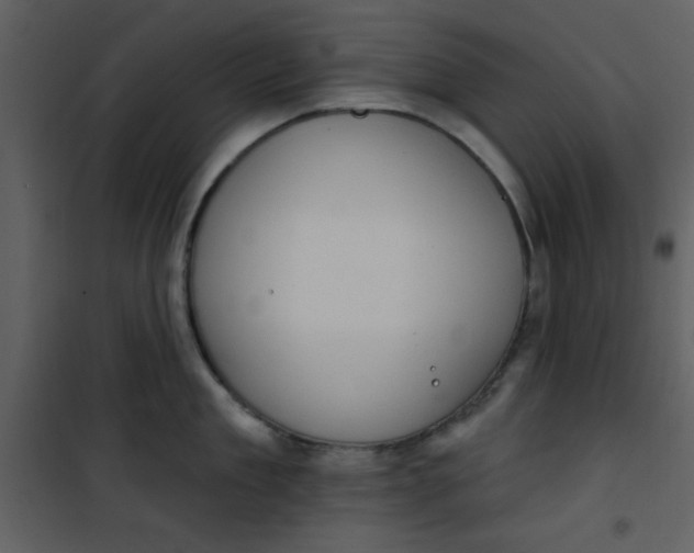 X0000101150909200807181331