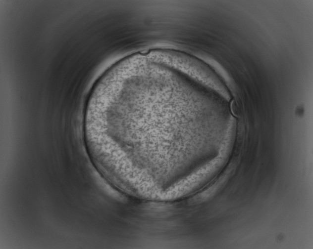 X0000101150910200807181331