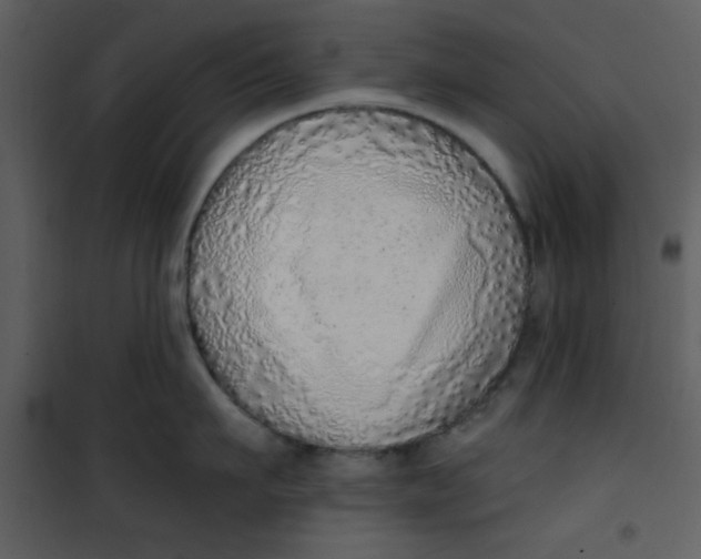 X0000101150911200807181331