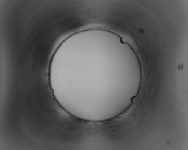 X0000101150912200807181331