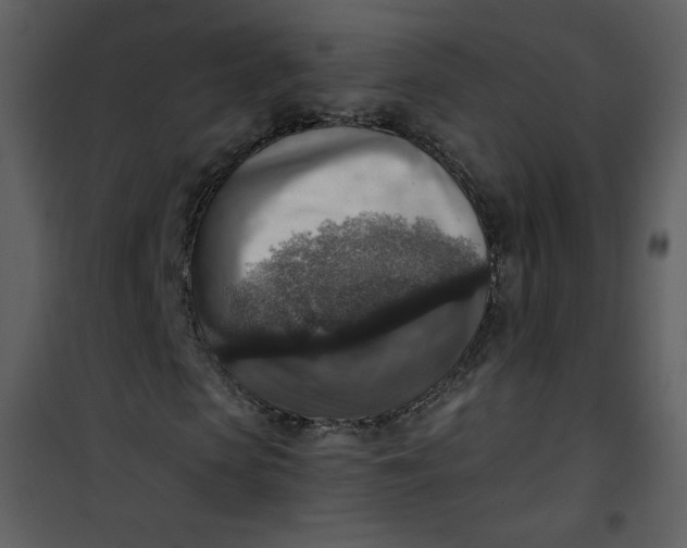 X0000101150913200807181330