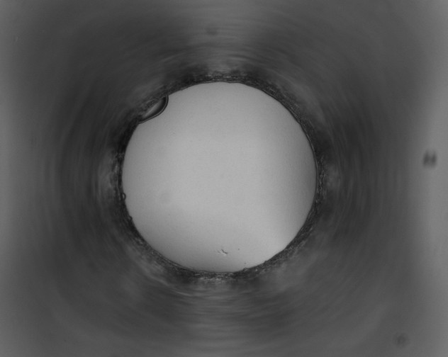 X0000101150914200807181330