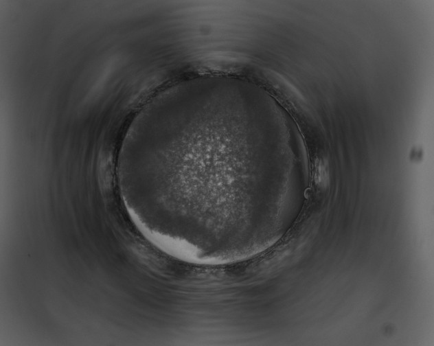 X0000101150915200807181330