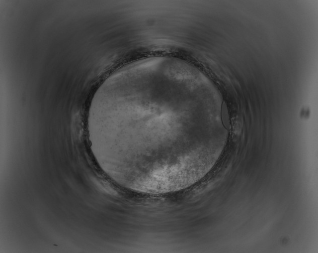 X0000101150916200807181330