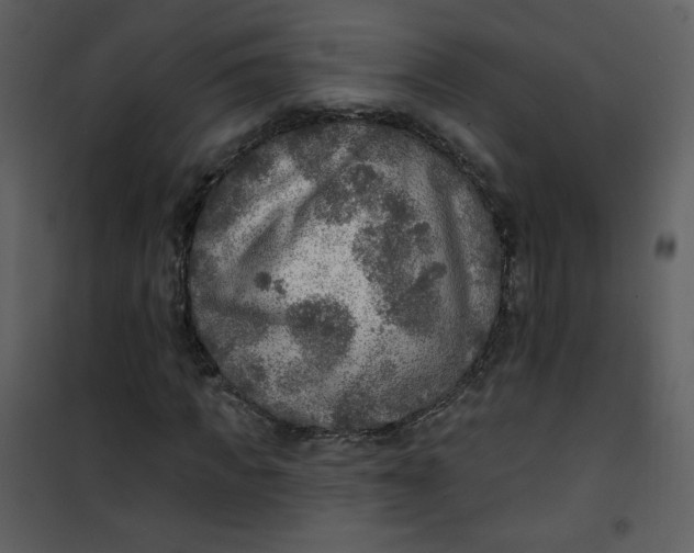 X0000101150917200807181330