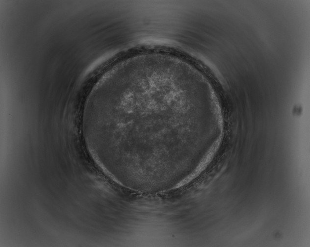 X0000101150919200807181330