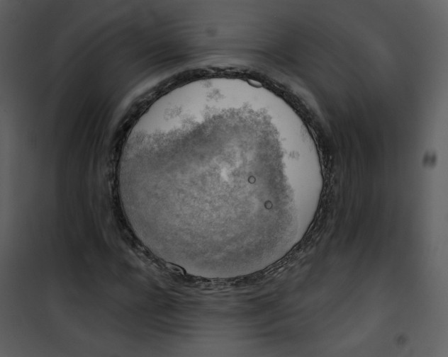 X0000101150920200807181330