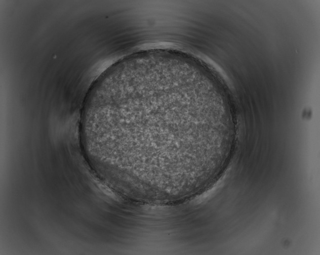 X0000101150921200807181330