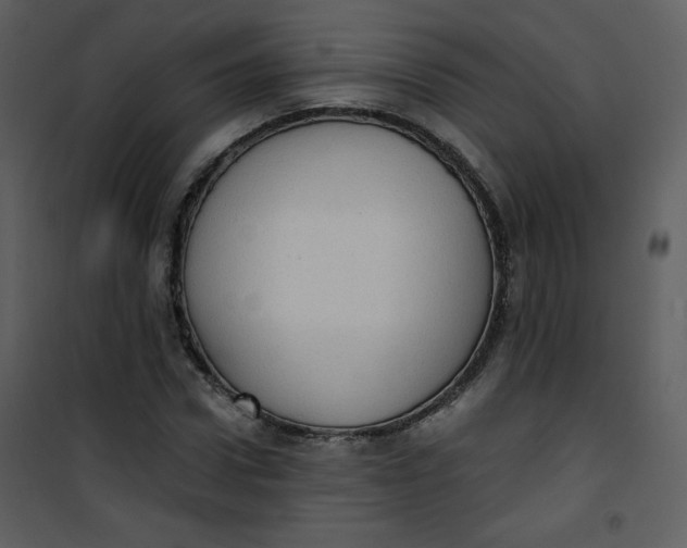 X0000101150922200807181330