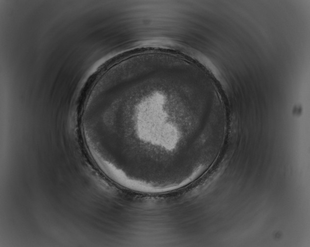 X0000101150923200807181330