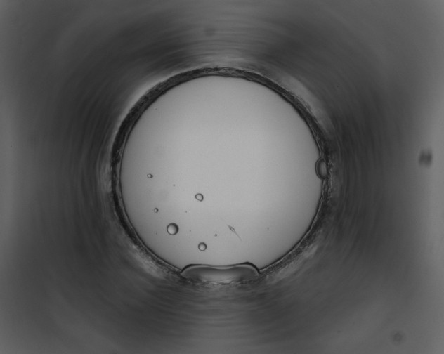 X0000101150924200807181330