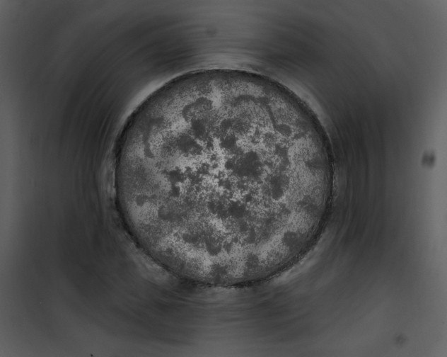 X0000101150925200807181330