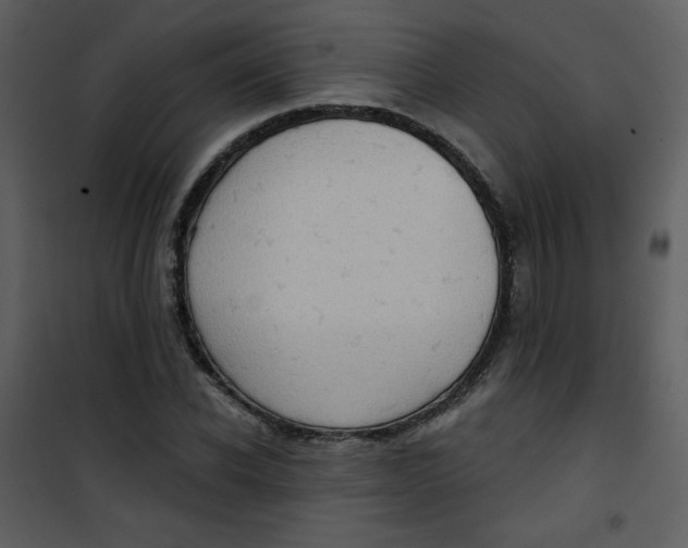 X0000101150926200807181330