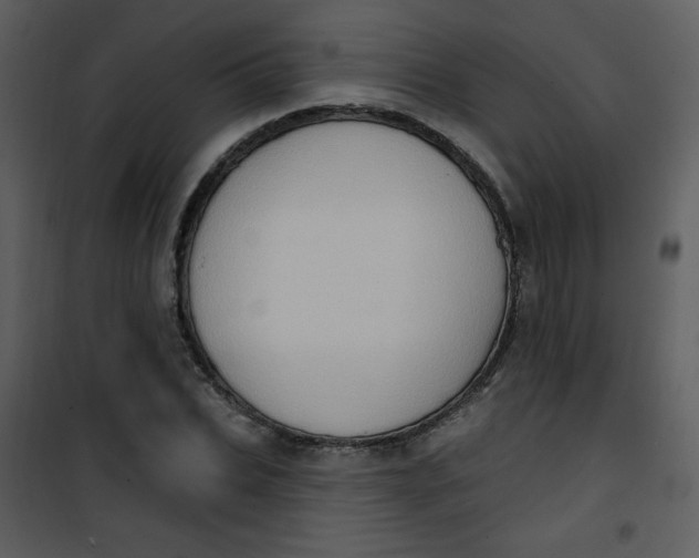 X0000101150927200807181330