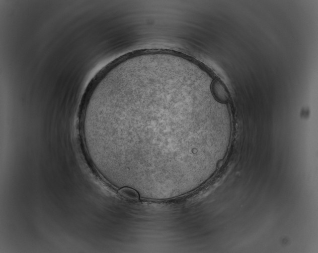 X0000101150928200807181330