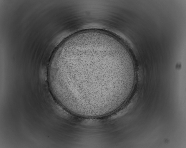 X0000101150929200807181330