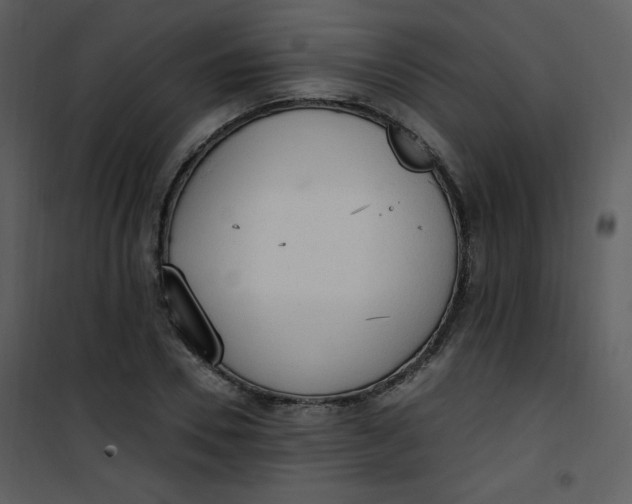 X0000101150930200807181330