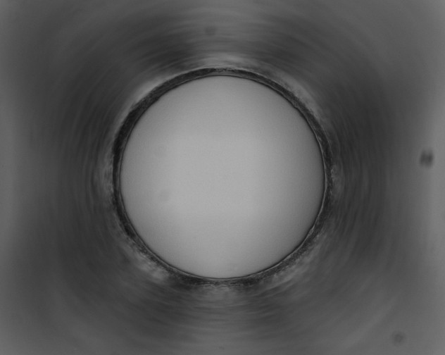 X0000101150931200807181330