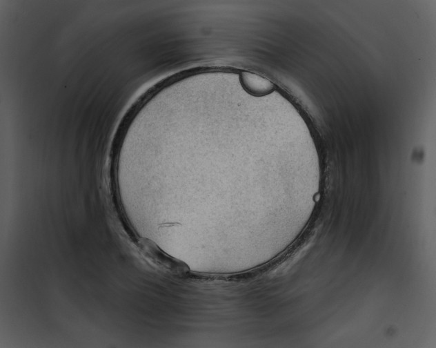 X0000101150932200807181330