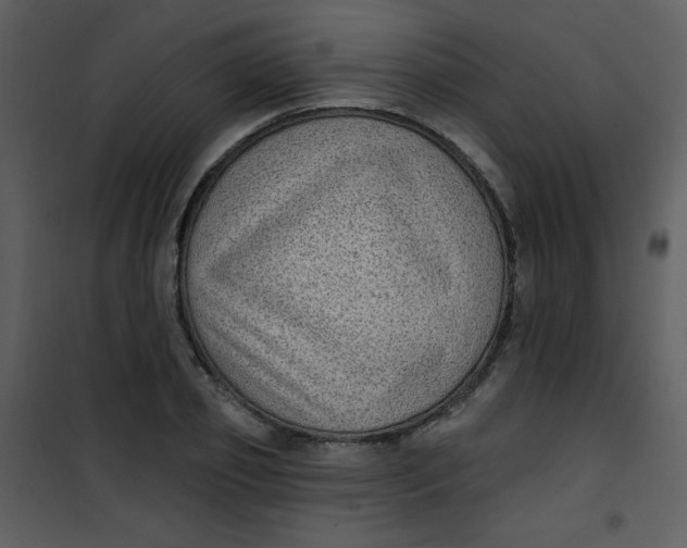 X0000101150933200807181330