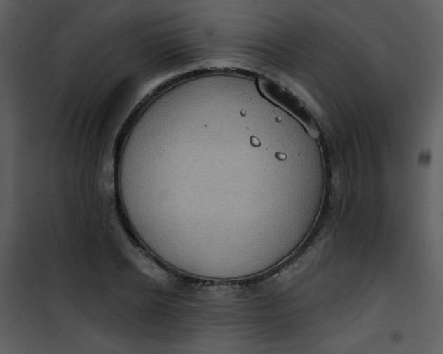 X0000101150934200807181330