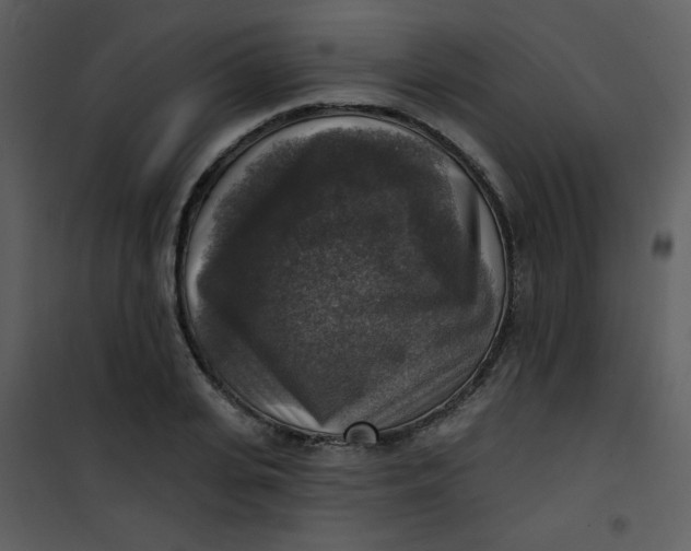 X0000101150935200807181330