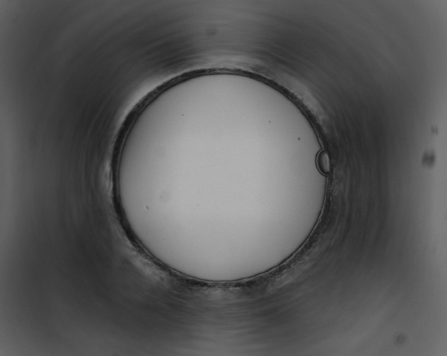 X0000101150936200807181330