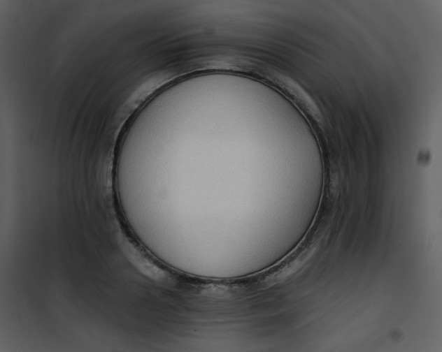 X0000101150938200807181330