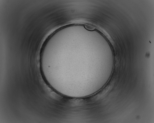 X0000101150939200807181330