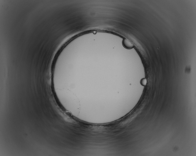 X0000101150940200807181330