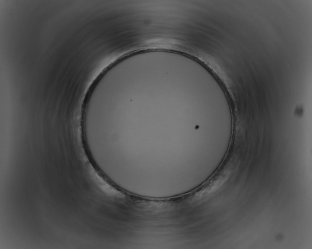 X0000101150941200807181330