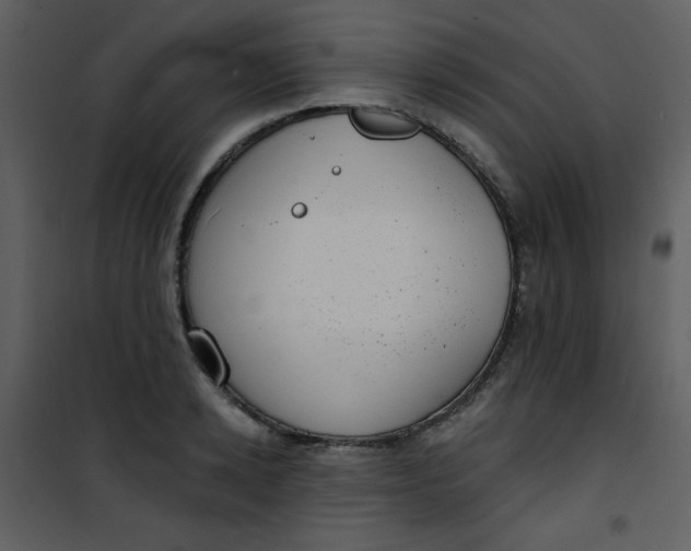 X0000101150942200807181330