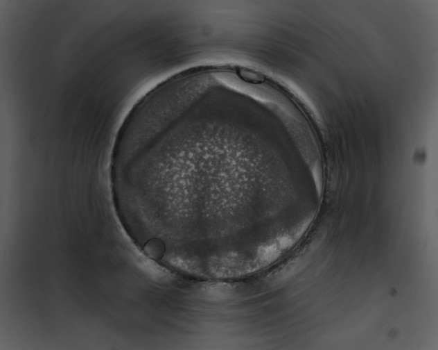 X0000101150943200807181330