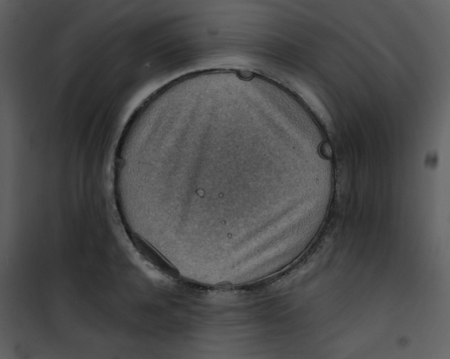 X0000101150944200807181330