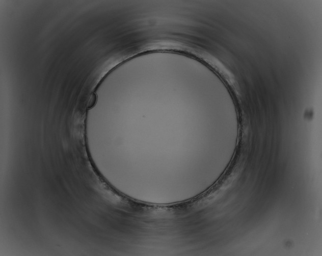 X0000101150945200807181330