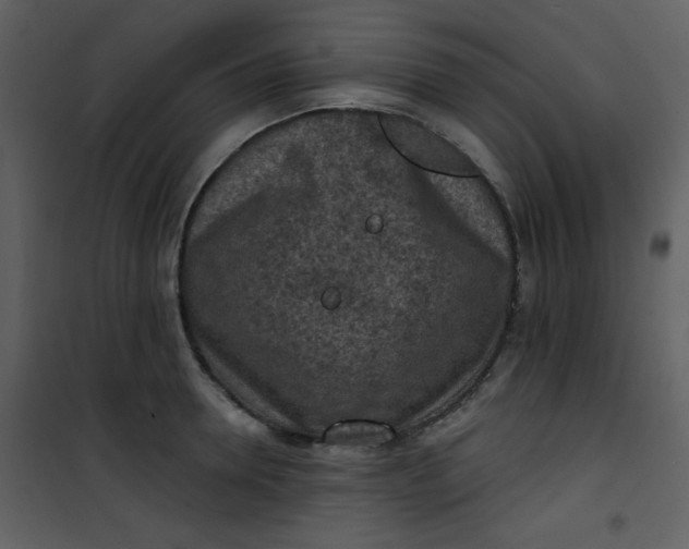 X0000101150946200807181330