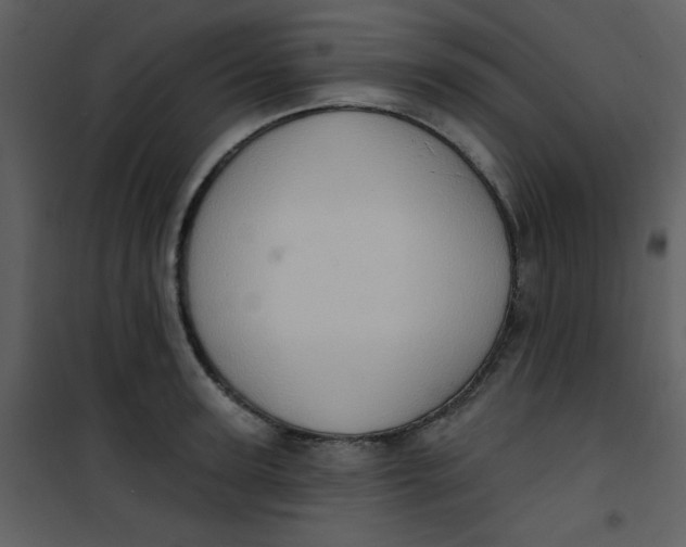 X0000101150947200807181330