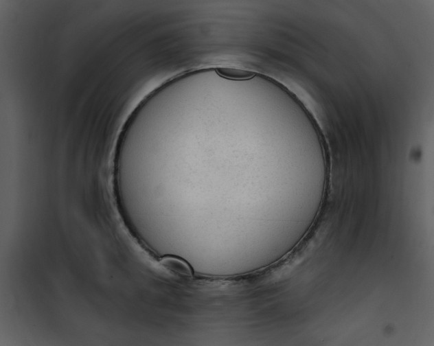 X0000101150949200807181331