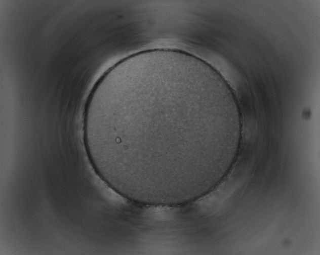 X0000101150950200807181331