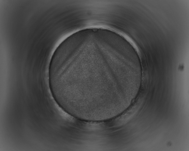 X0000101150951200807181331