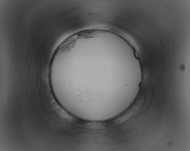 X0000101150952200807181331