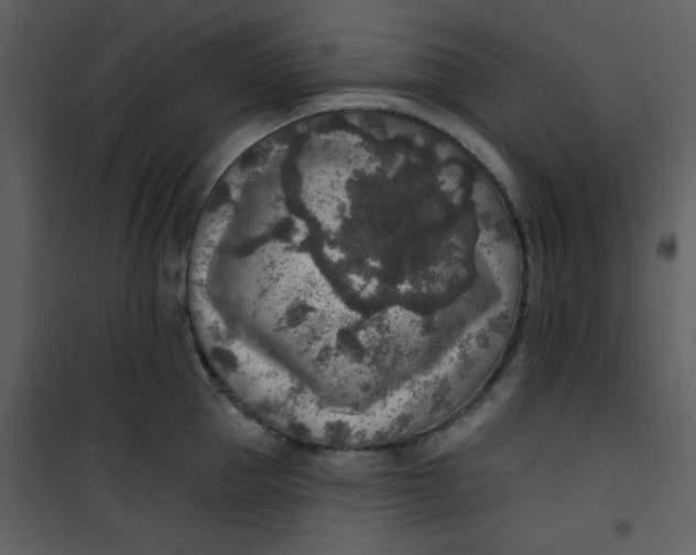 X0000101150953200807181331