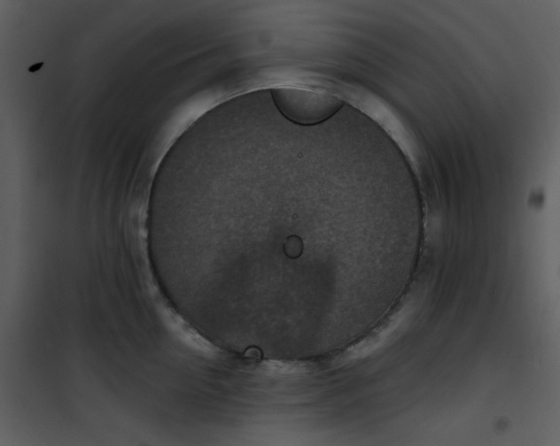 X0000101150954200807181331