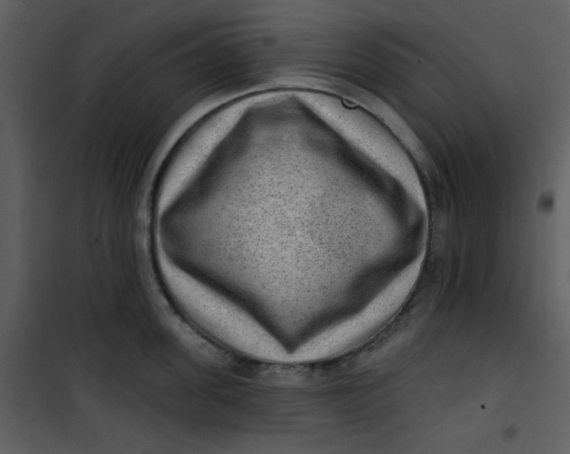 X0000101150955200807181331