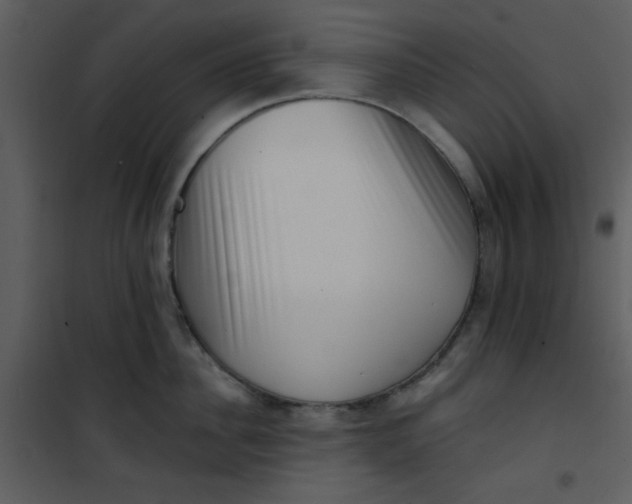 X0000101150956200807181331